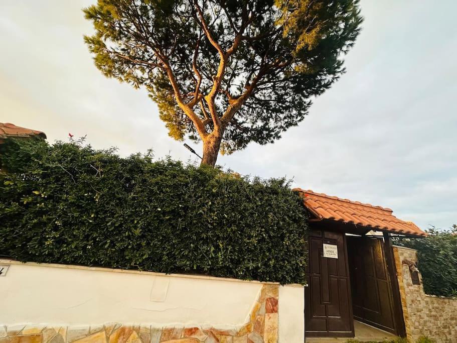 Willa Fontana House Marina di Cerveteri Zewnętrze zdjęcie